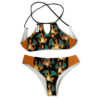 Charizard Bikini Pokemon Bikini Anime Bikini Swimsuit