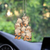 Arcanine Ornament Custom Pokemon Evolution Car Accessories