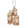 Arcanine Ornament Custom Pokemon Evolution Car Accessories