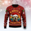 Best Dog Mom Ugly Sweater Christmas Gift Sweater