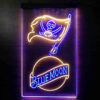 Blue Moon Tampa Bay Buccaneers Est 1976 LED Sign Man Cave Home Bar Pub Decor