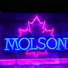 Molson LED Sign Home Bar Decor